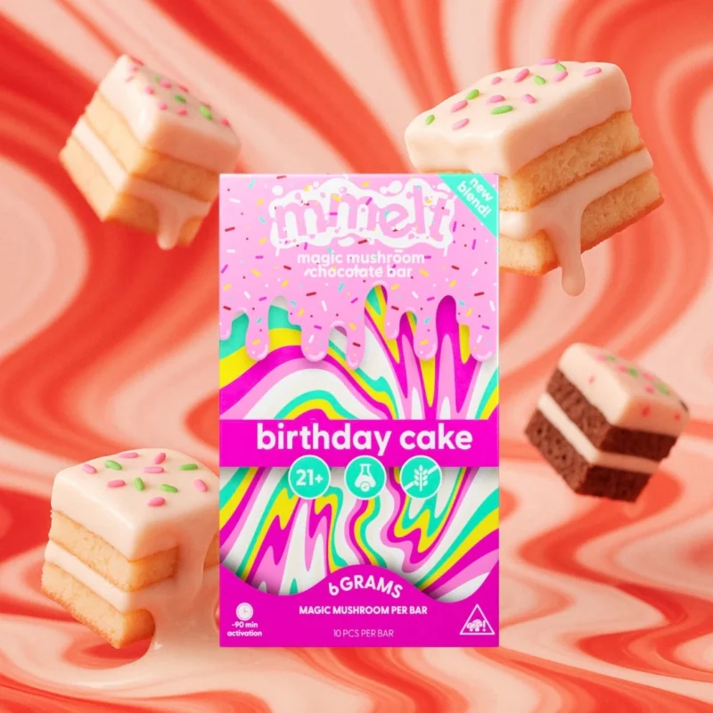 MMELT MUSHROOM CHOCOLATE__birthday_cake_2